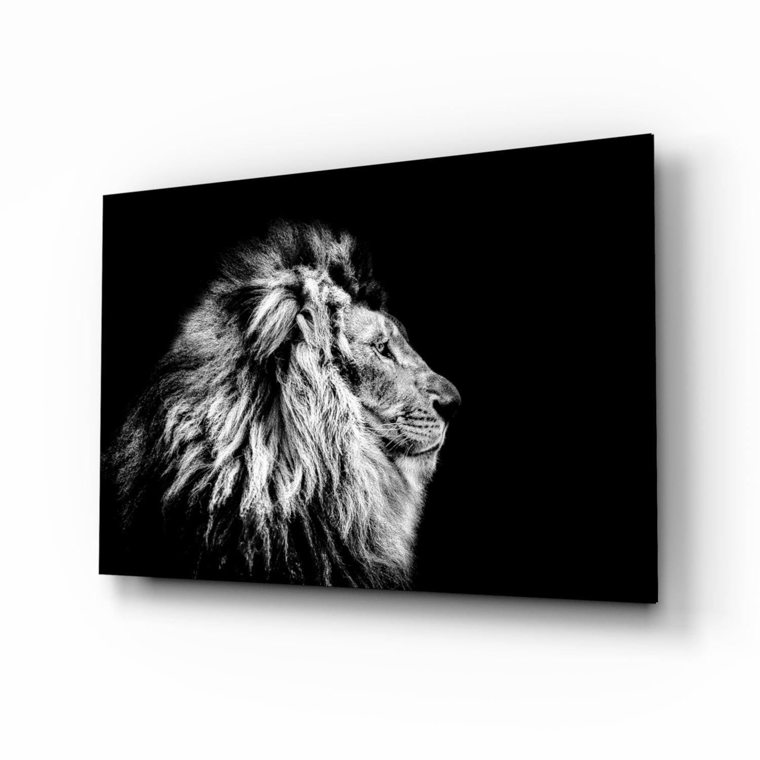 Monochrome Lion Facing Right Glass Wall Art