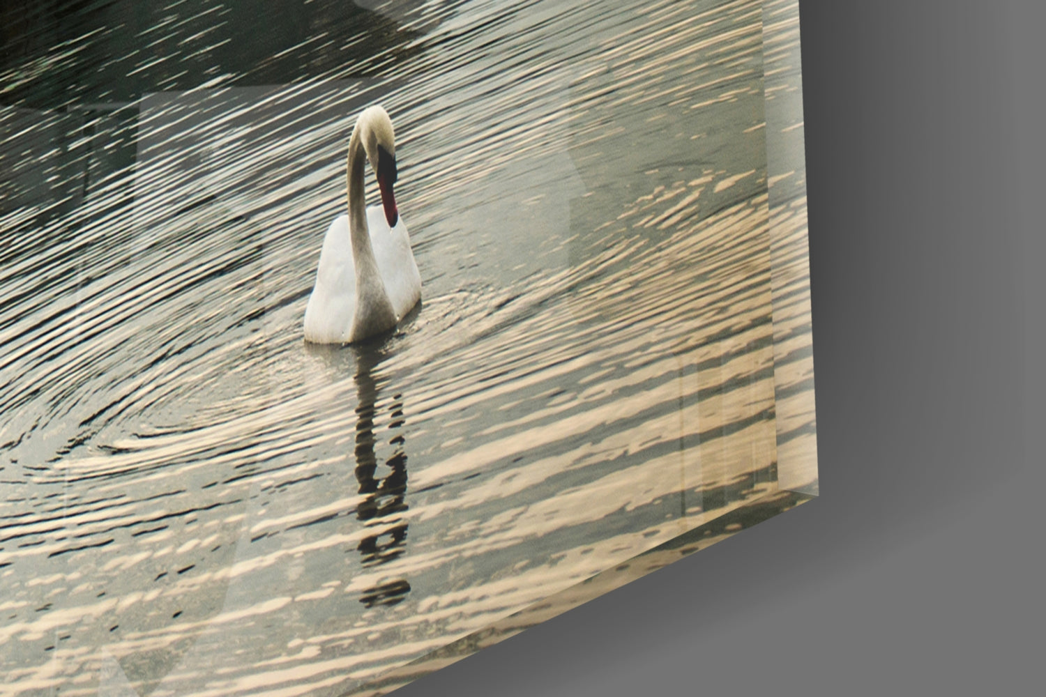 Misty Lake Church Swan Glass Wall Art