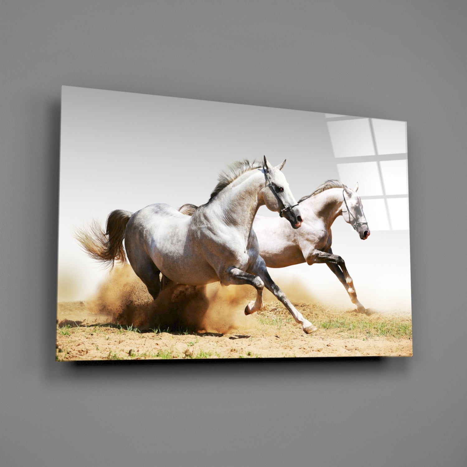 Two White Horses Dust Gallop Glass Wall Art