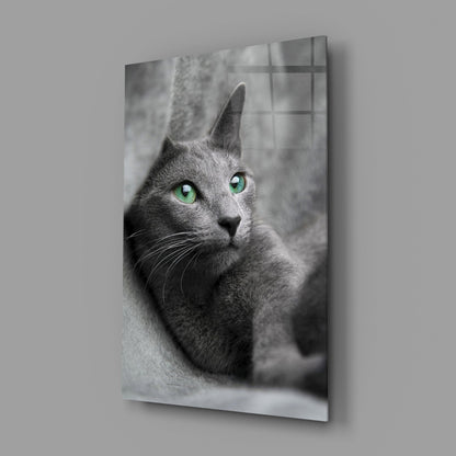 Green Eyed Gray Cat Glass Wall Art
