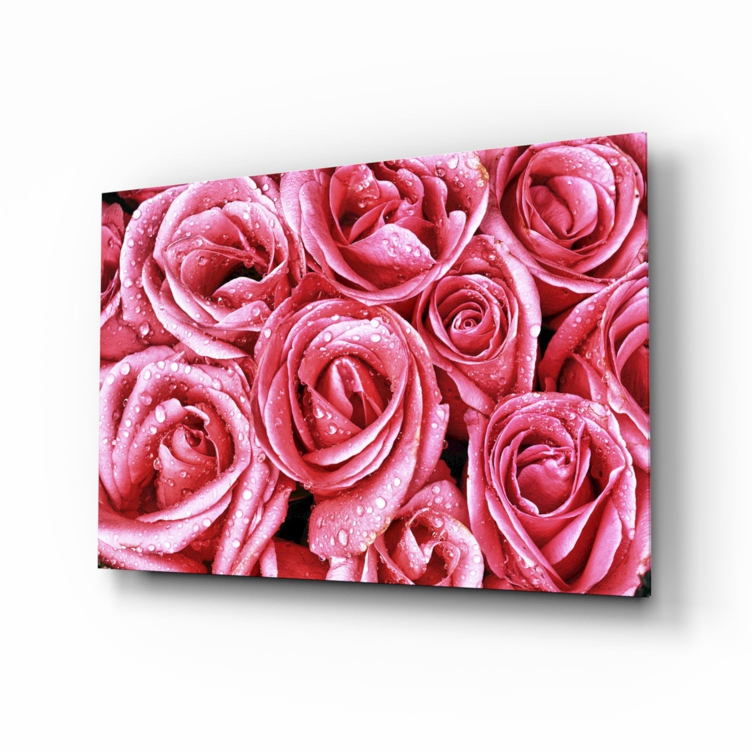 Dewy Pink Rose Bouquet Closeup Glass Wall Art