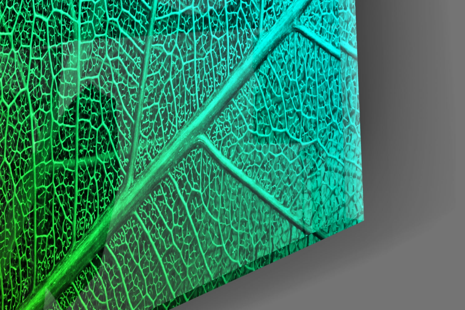 Green to Turquoise Leaf Vein Gradient Glass Wall Art