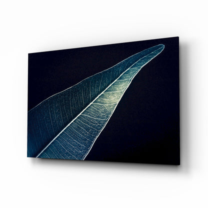 Silver Blue Leaf on Dark Navy Glass Wall Art