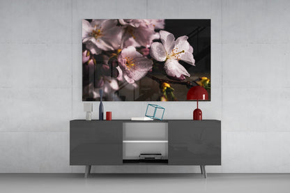Dewdrop Pink Cherry Blossoms Glass Wall Art