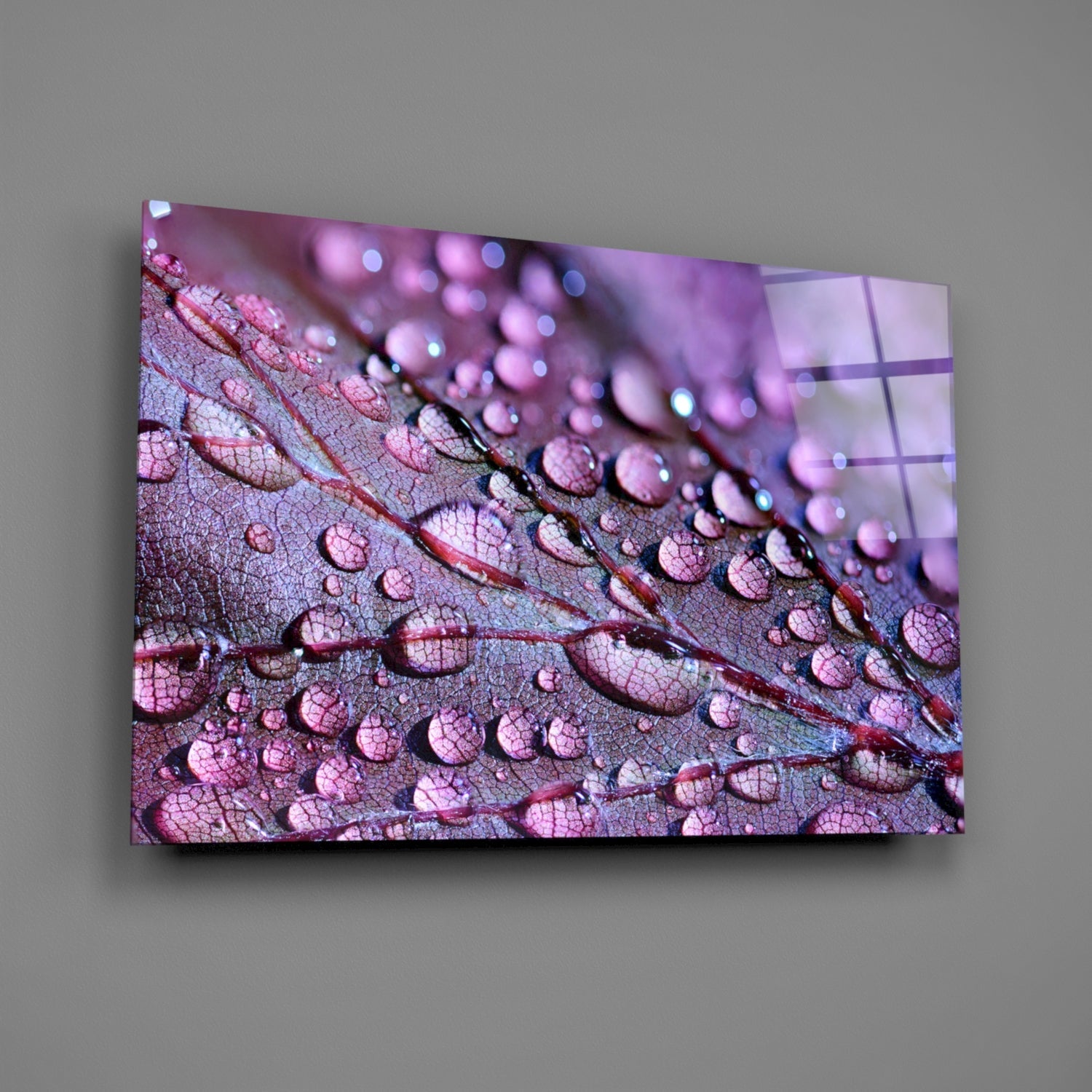 Violet Dew Drops On Leaf Glass Wall Art