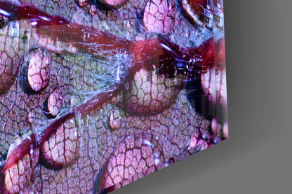 Violet Dew Drops On Leaf Glass Wall Art
