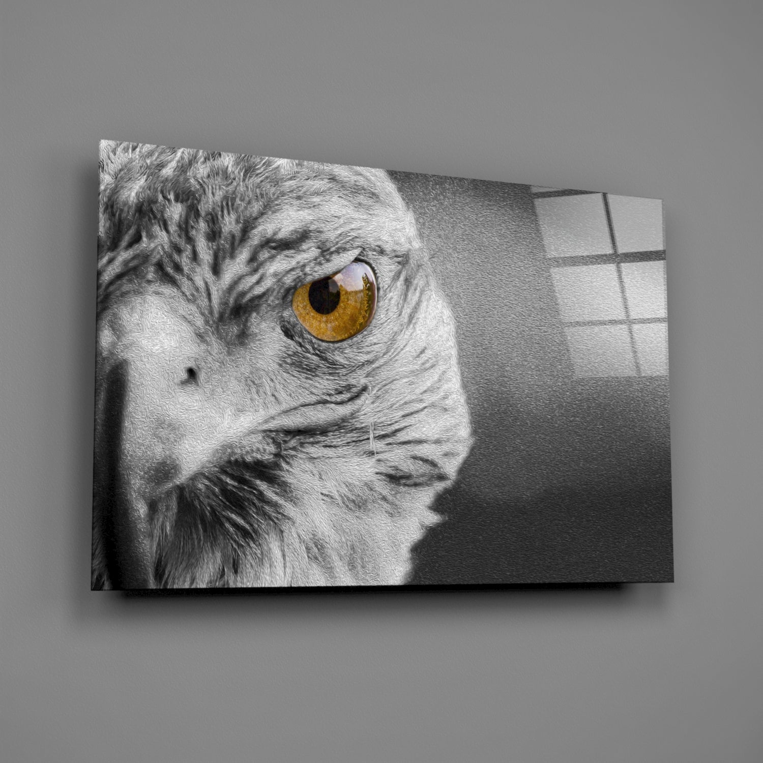 Amber Eye Monochrome Falcon Glass Wall Art