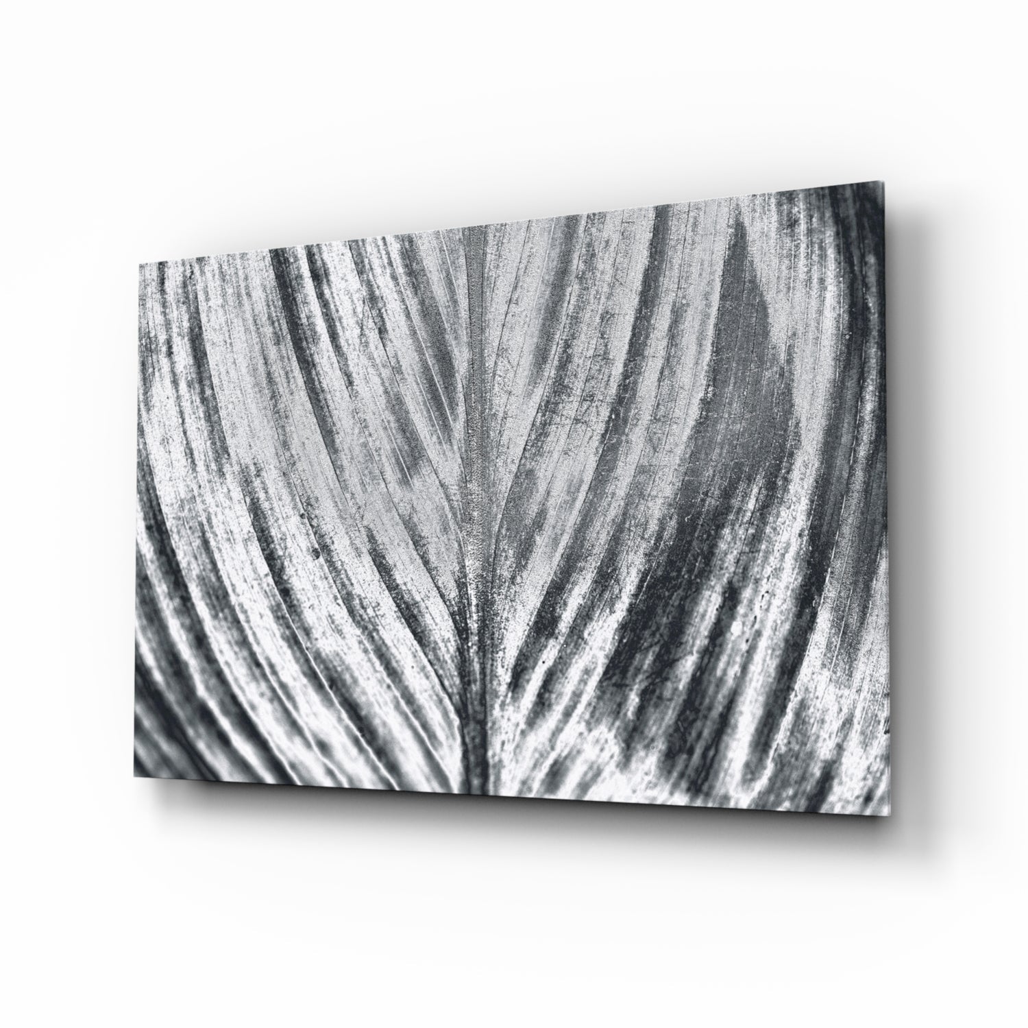 Silver Brushed Leaf Glass Wall Art