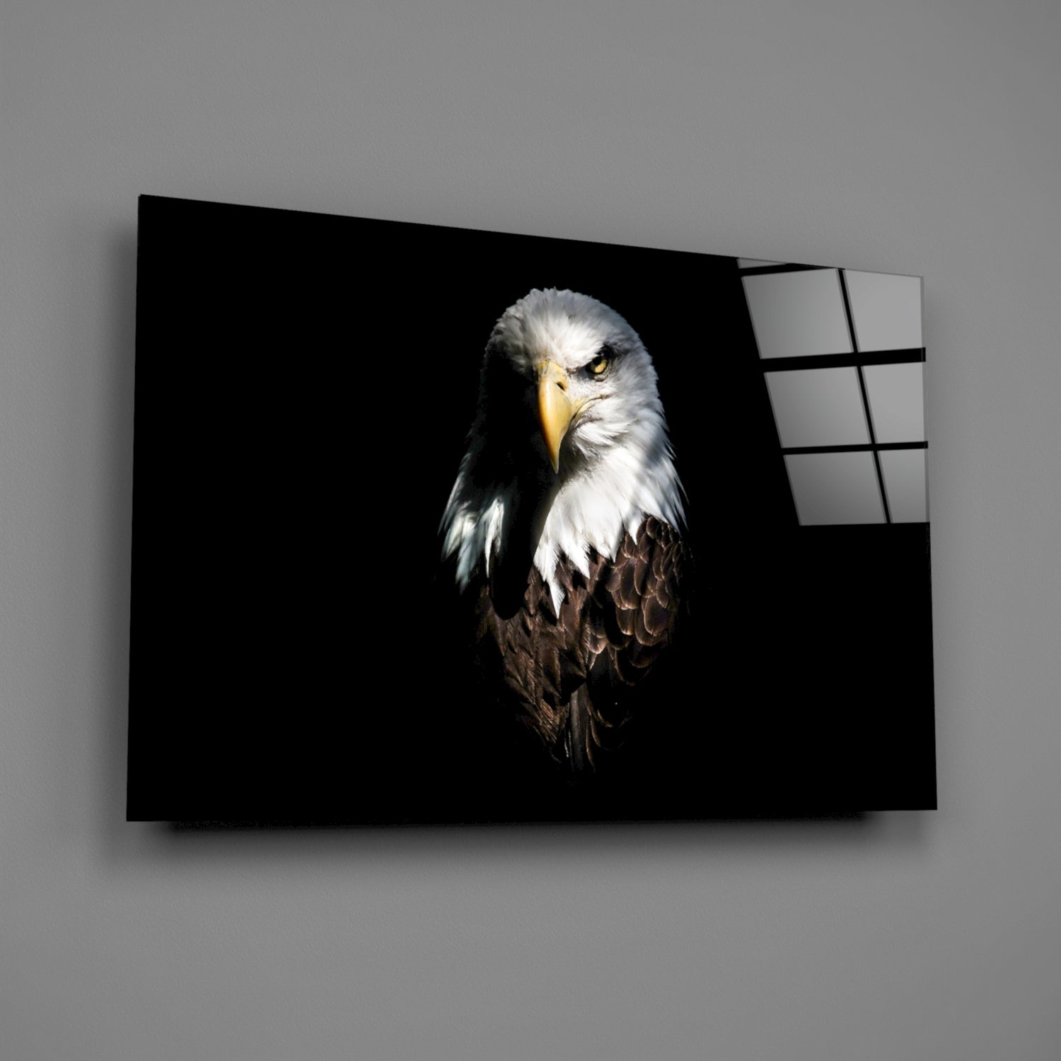 Dark Shadow Bald Eagle Glass Wall Art
