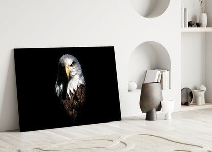 Dark Shadow Bald Eagle Glass Wall Art