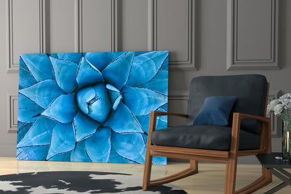 Blue Agave Succulent Rosette Glass Wall Art