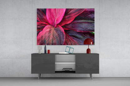 Magenta Cordyline Leaves Glass Wall Art