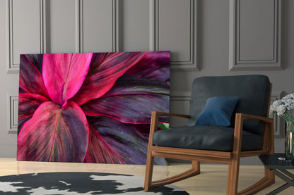 Magenta Cordyline Leaves Glass Wall Art