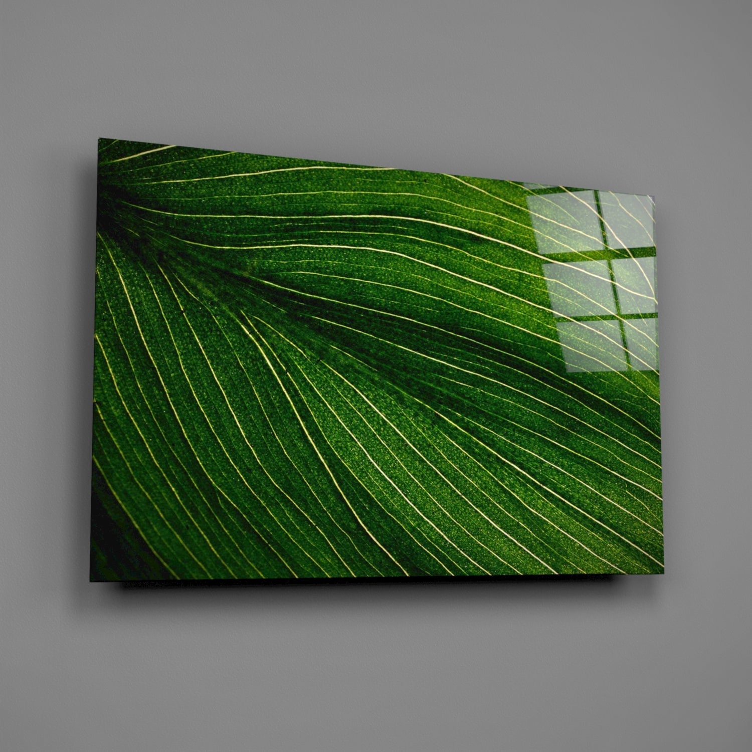 Radiating Green Leaf Vein Lines Glass Wall Art