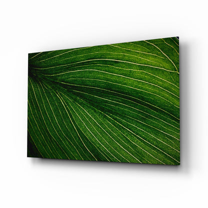 Radiating Green Leaf Vein Lines Glass Wall Art