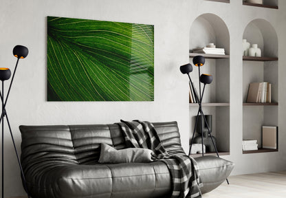 Radiating Green Leaf Vein Lines Glass Wall Art