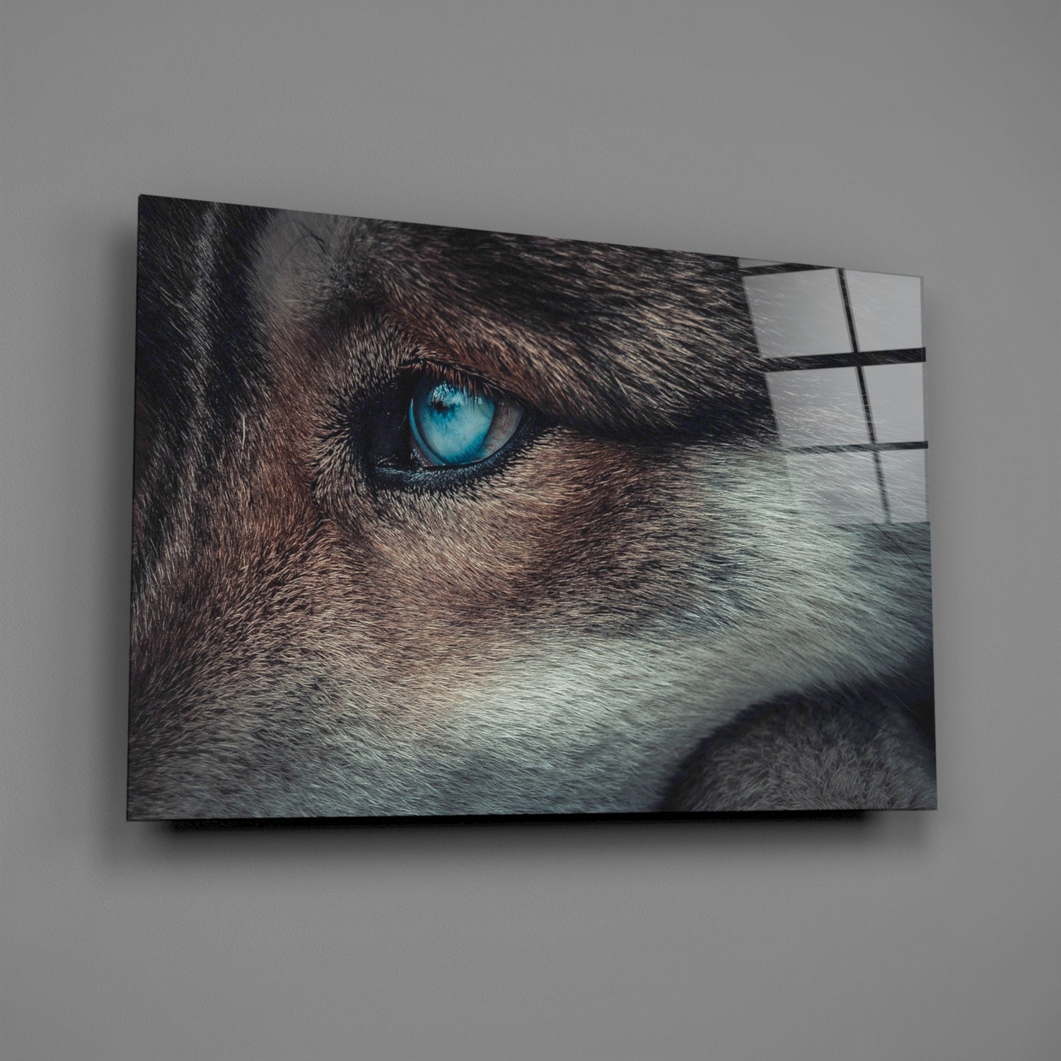 Ice Blue Wolf Eye Closeup Glass Wall Art