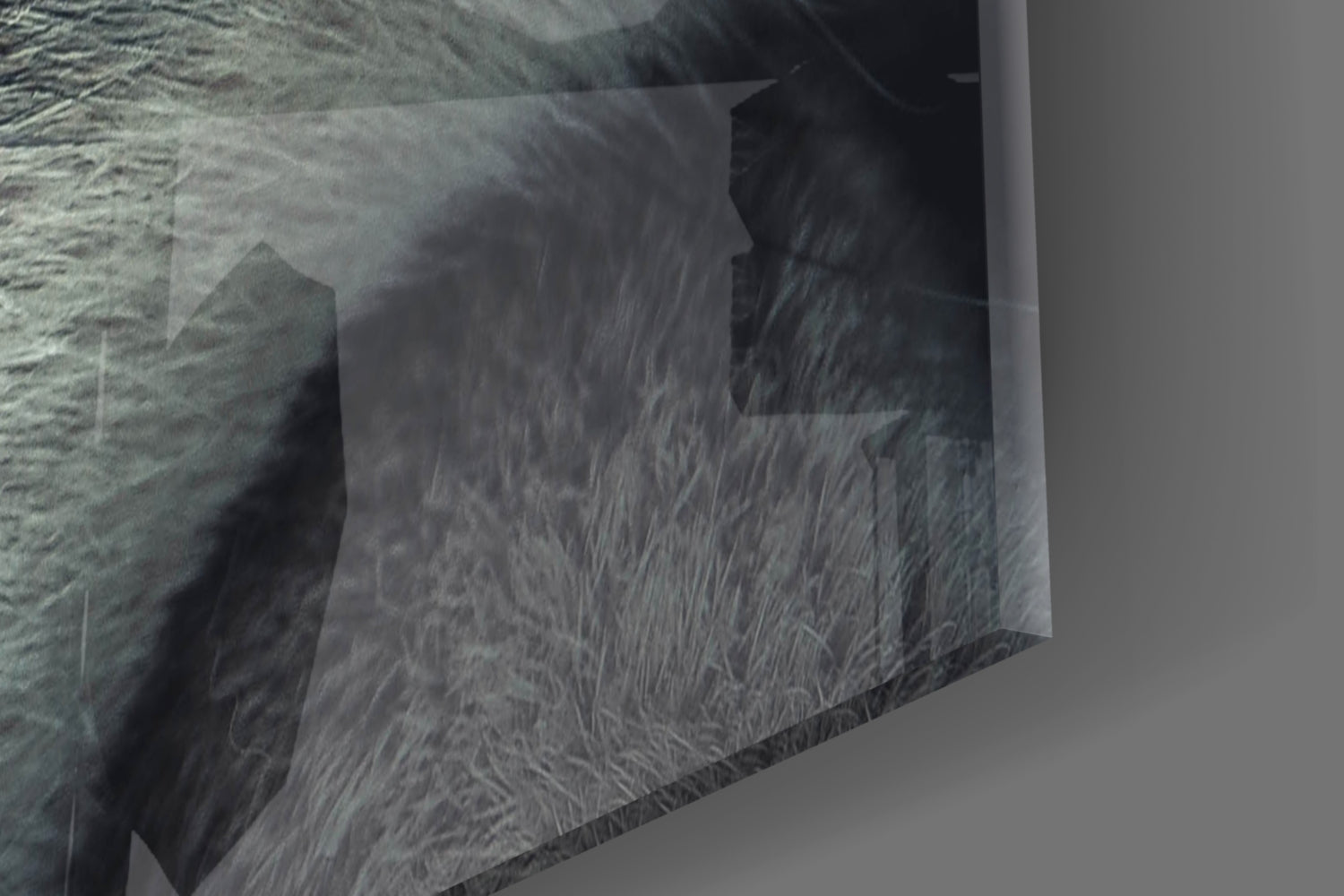 Ice Blue Wolf Eye Closeup Glass Wall Art