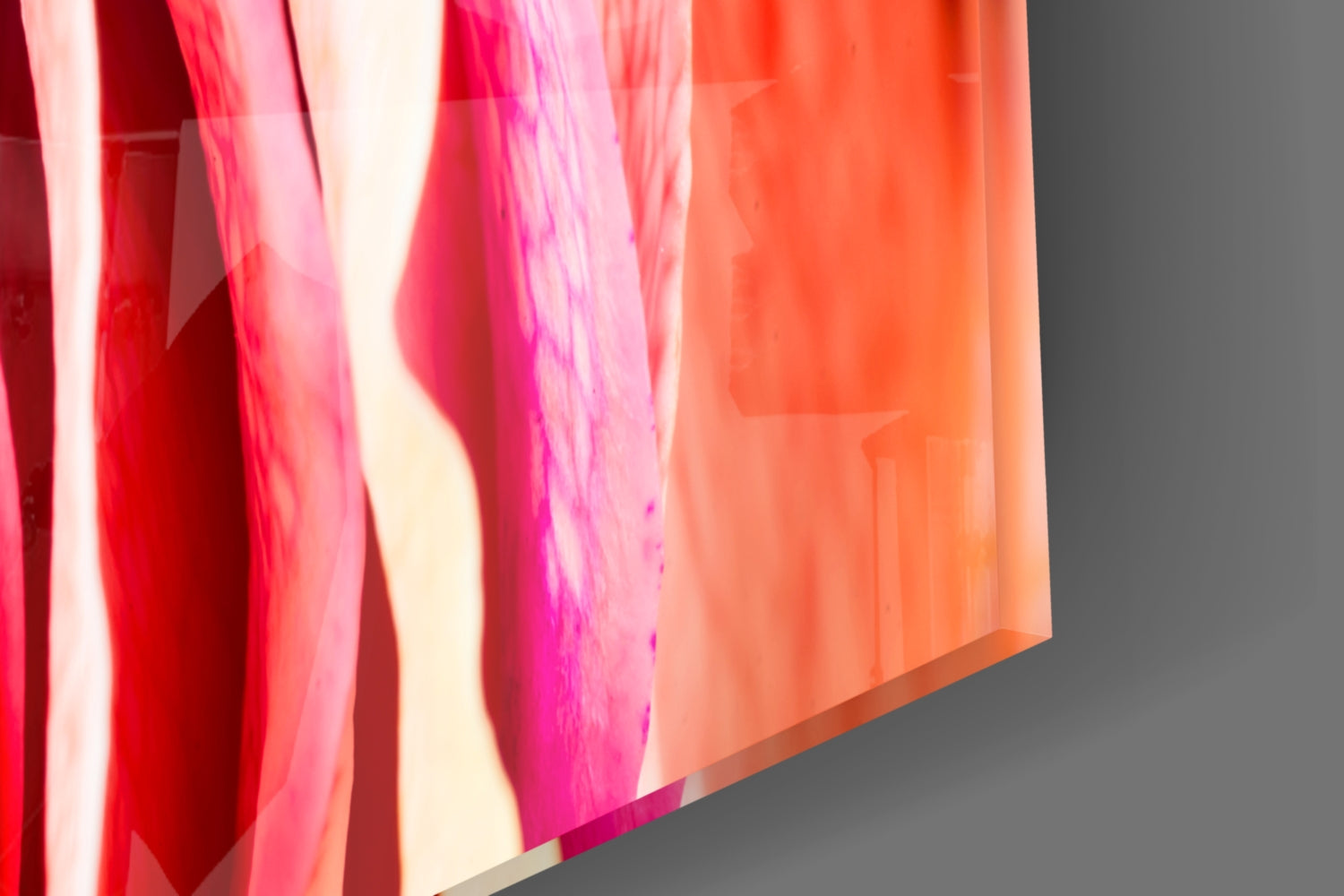 Colored Rose Glass Wall Art