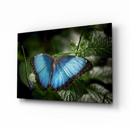Blue Morpho on Leaves Butterfly Glass Wall Art