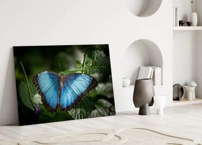 Blue Morpho on Leaves Butterfly Glass Wall Art