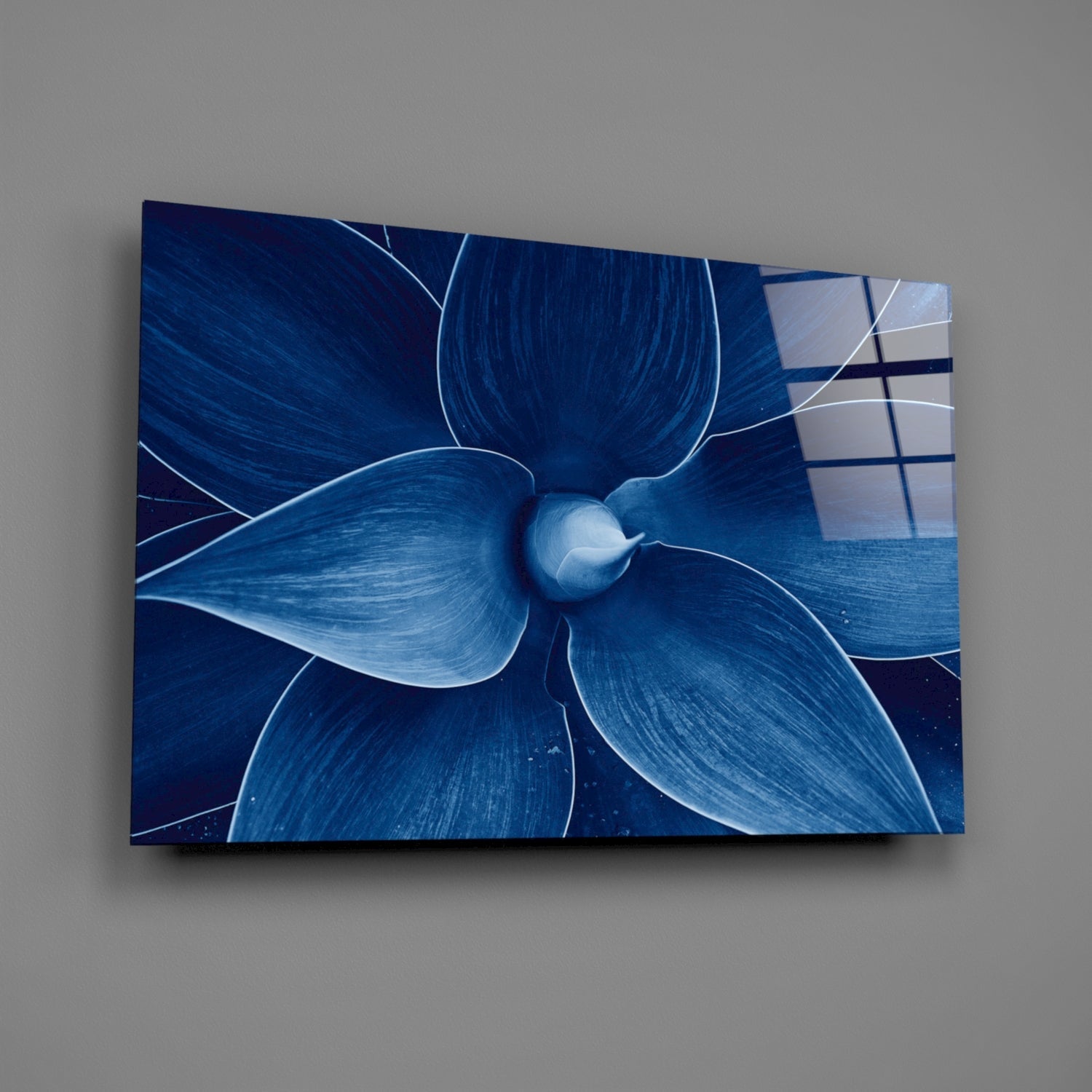 Indigo Blue Agave Petals Macro Glass Wall Art