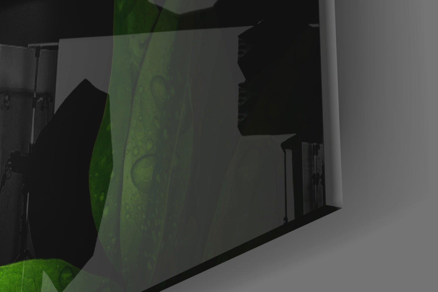Green Eyed Coiled Snake Leaves Glass Wall Art