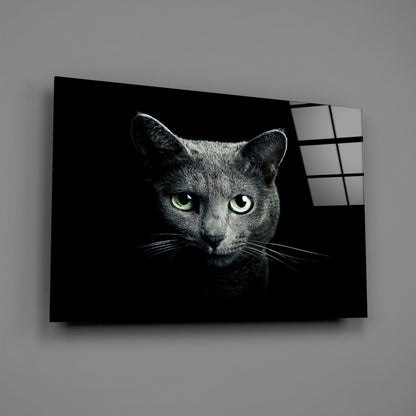 Green Eyed Blue Cat Dark Glass Wall Art