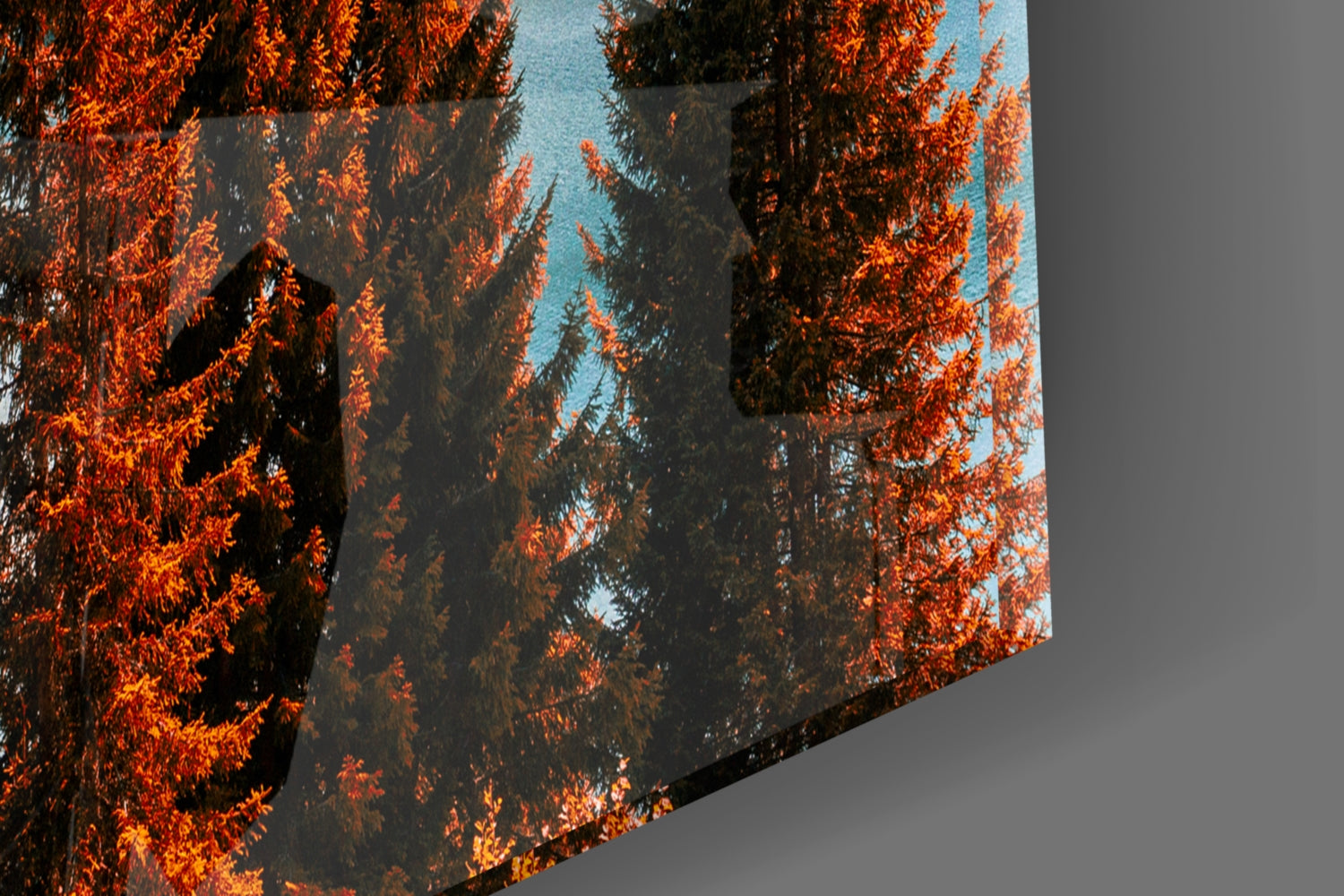 Autumn Alpine Lake Valley Glass Wall Art