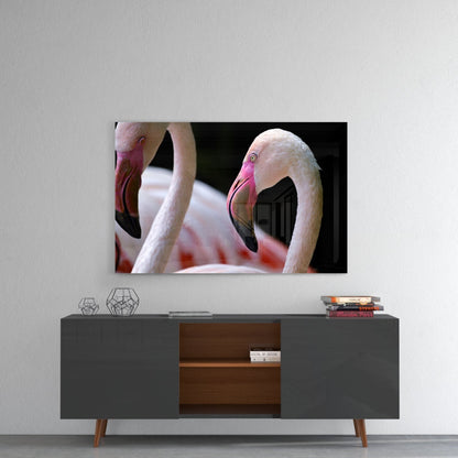 Two Pink Flamingo Heads Glass Wall Art