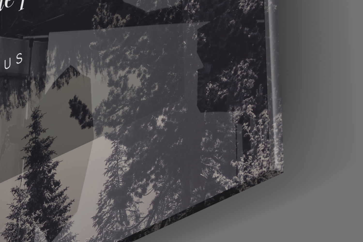 Confine Yourself Quote Misty Forest Lake Glass Wall Art