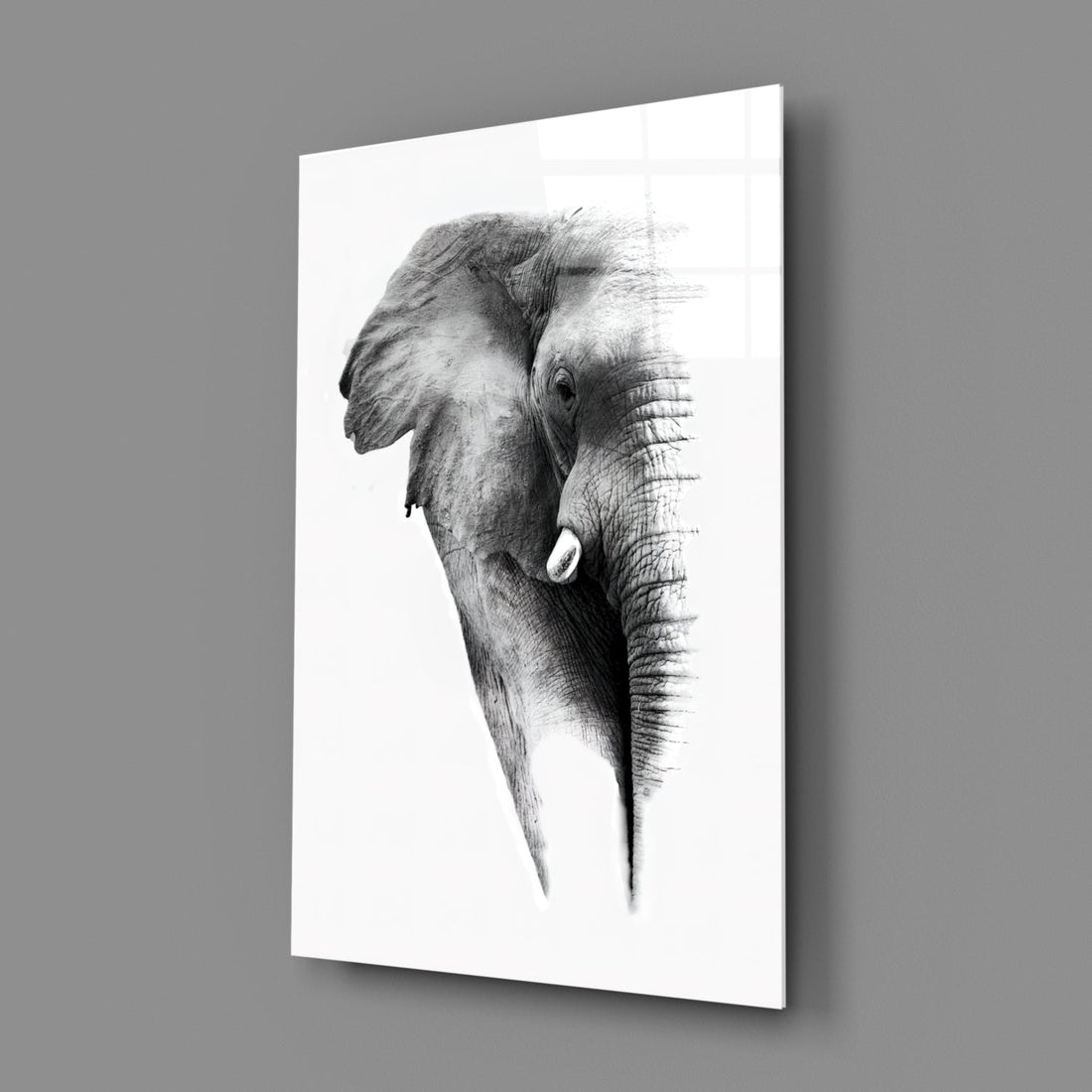 Faded Grayscale Elephant Sketch Glass Wall Art