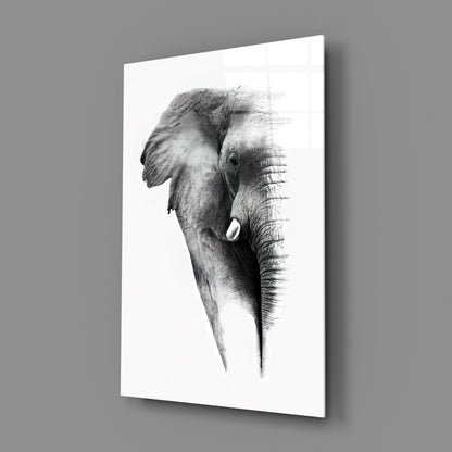 Faded Grayscale Elephant Sketch Glass Wall Art
