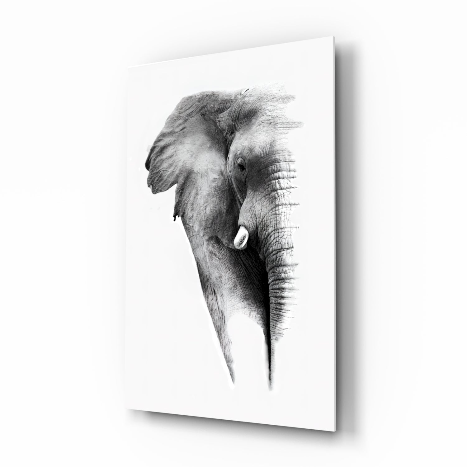 Faded Grayscale Elephant Sketch Glass Wall Art