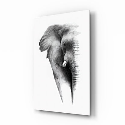 Faded Grayscale Elephant Sketch Glass Wall Art