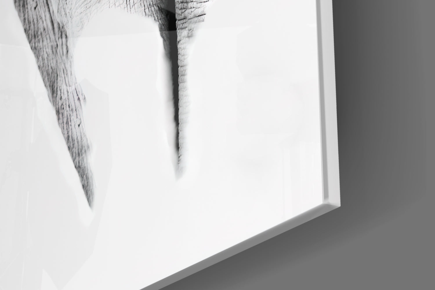 Faded Grayscale Elephant Sketch Glass Wall Art