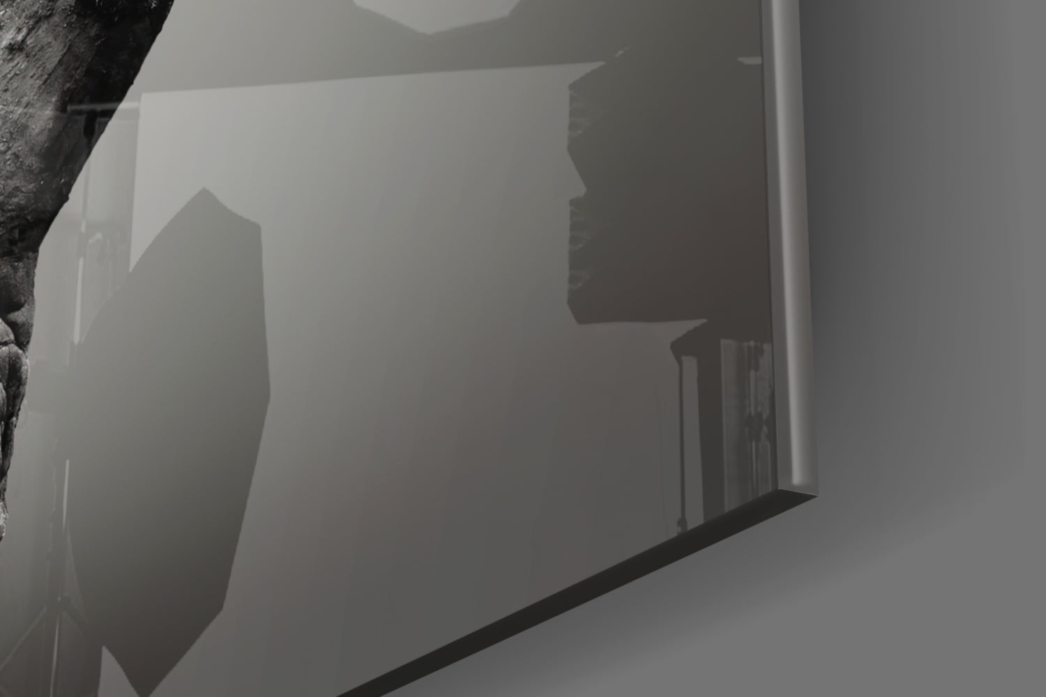 Rhino Horn Profile Grayscale Glass Wall Art