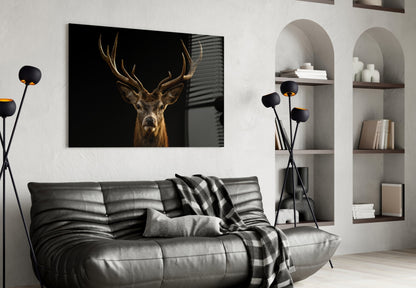 Red Deer Stag on Black Glass Wall Art