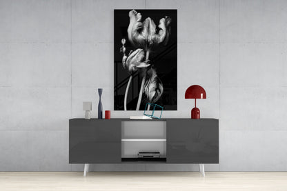 Three Parrot Tulips on Black Glass Wall Art