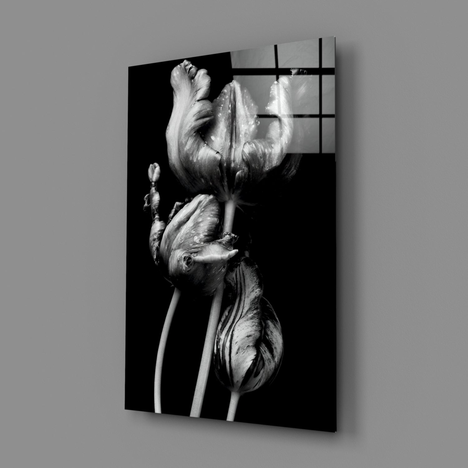 Three Parrot Tulips on Black Glass Wall Art