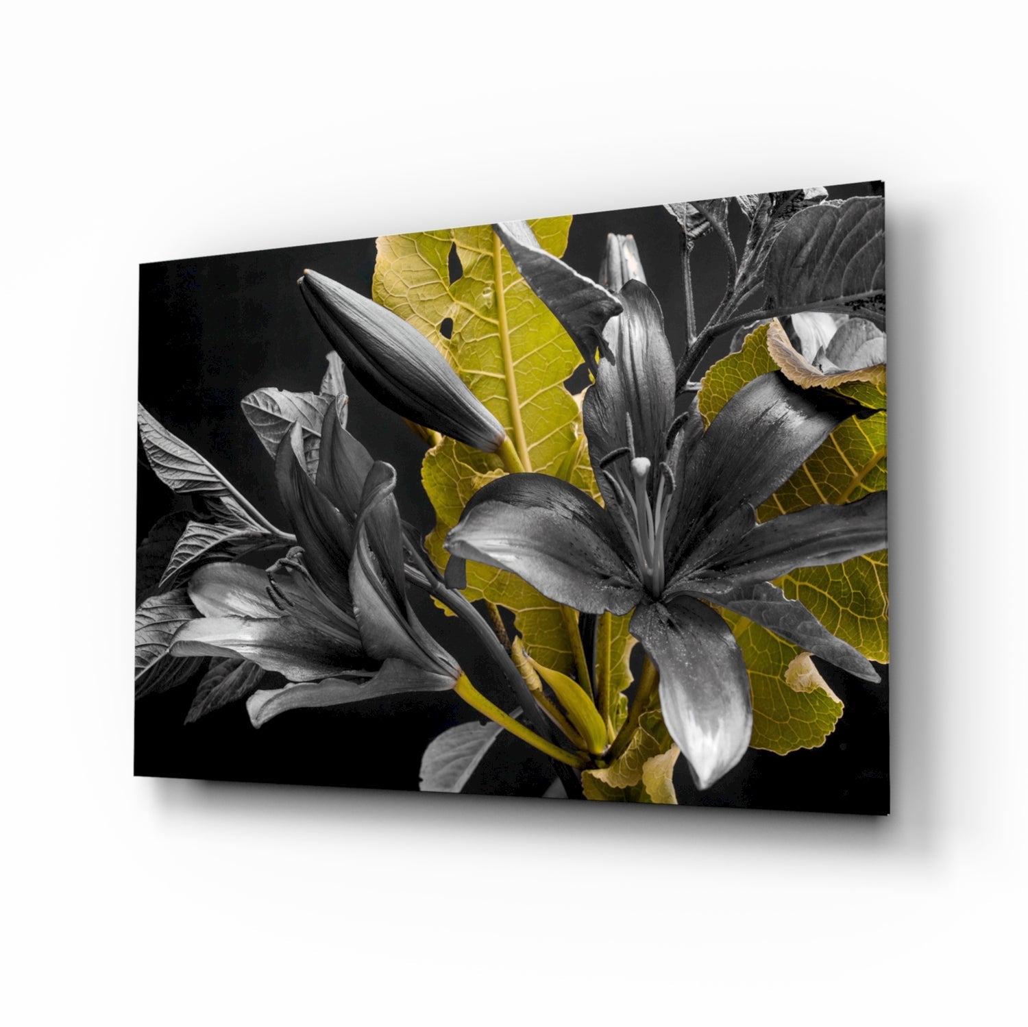 Gold Leaf Lilies on Black Glass Wall Art