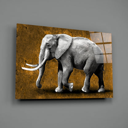 Grayscale Elephant Golden Backdrop Glass Wall Art