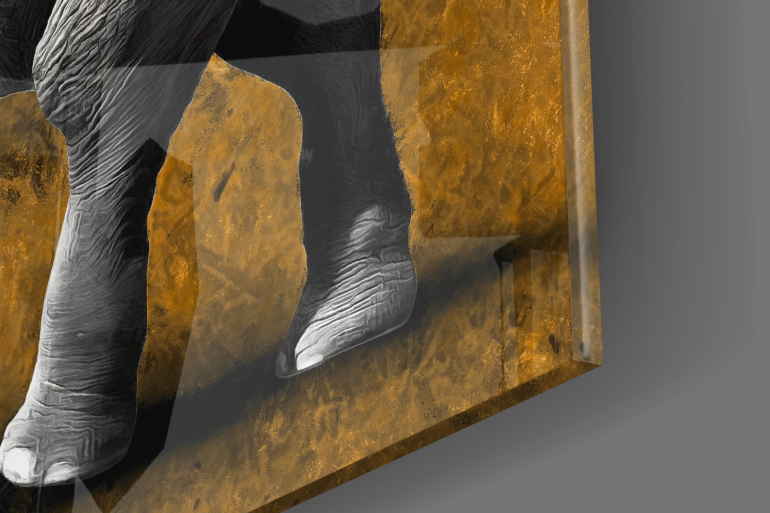 Grayscale Elephant Golden Backdrop Glass Wall Art