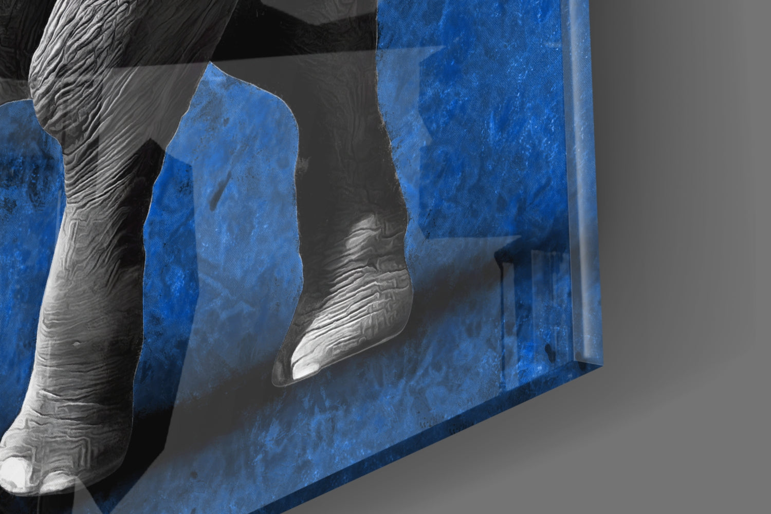 Grayscale Elephant Blue Backdrop Glass Wall Art