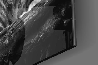 Regal Resting Lion Monochrome Glass Wall Art