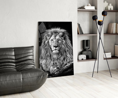 Regal Resting Lion Monochrome Glass Wall Art