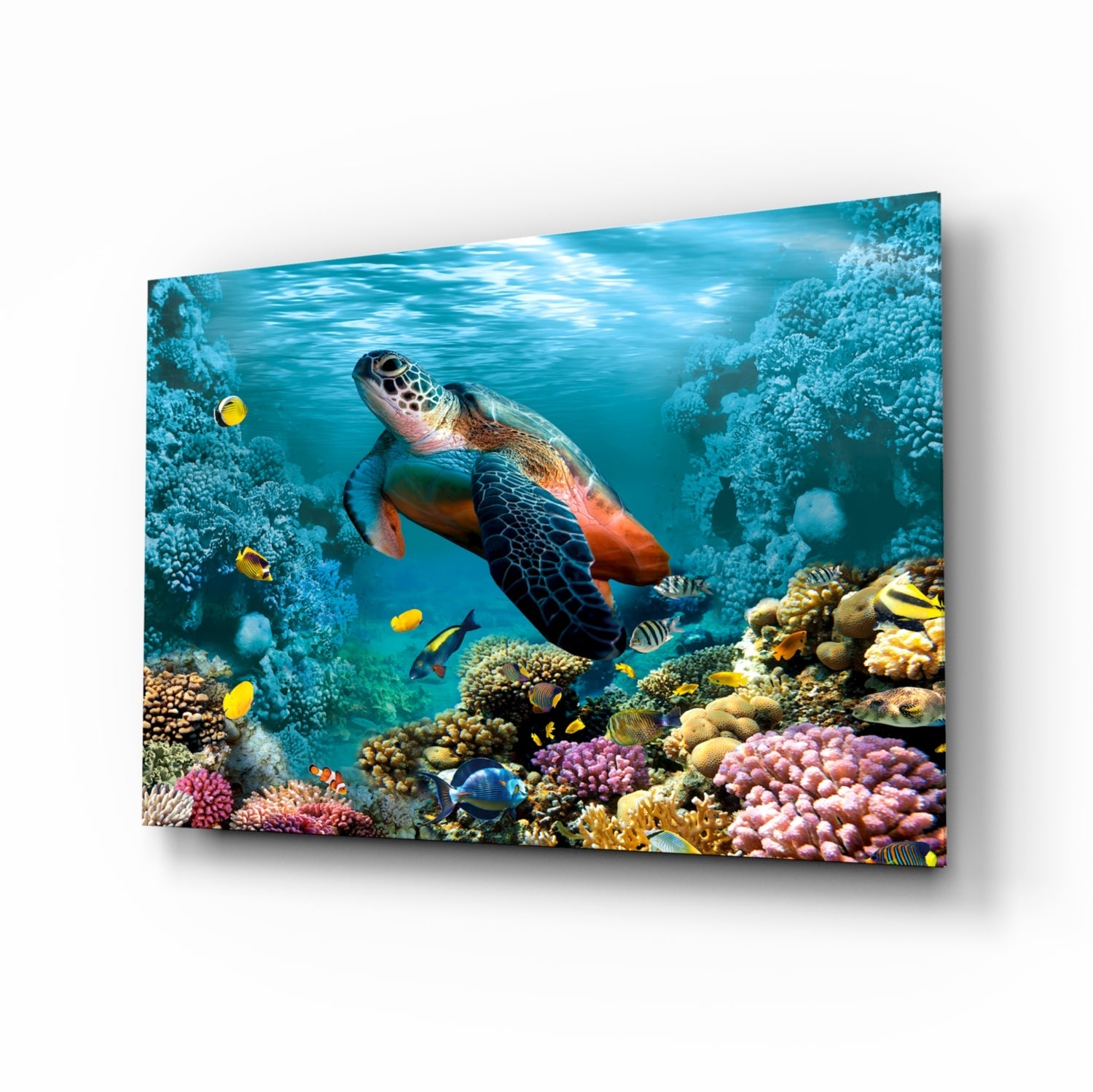 Underworld Glass Wall Art