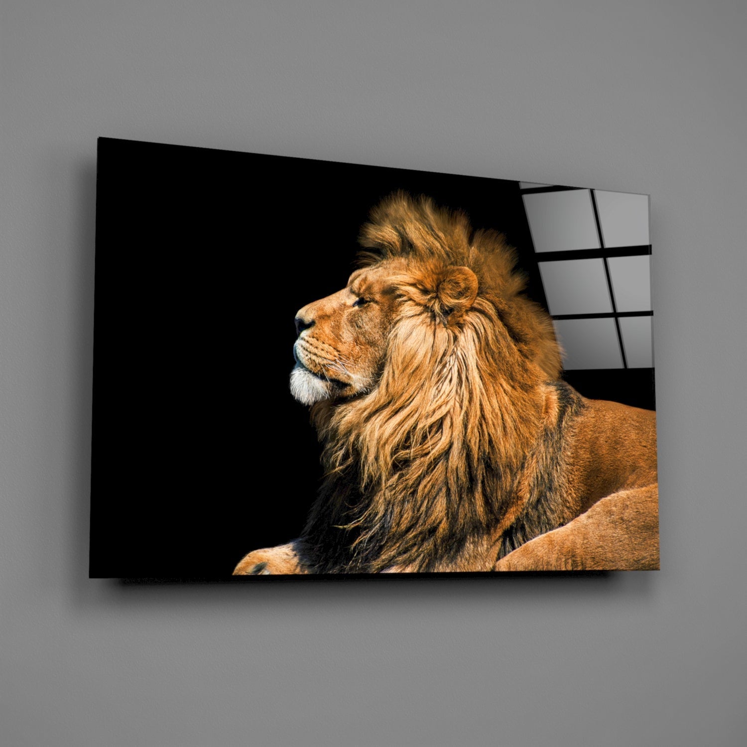 Reclining Golden Lion Profile Glass Wall Art