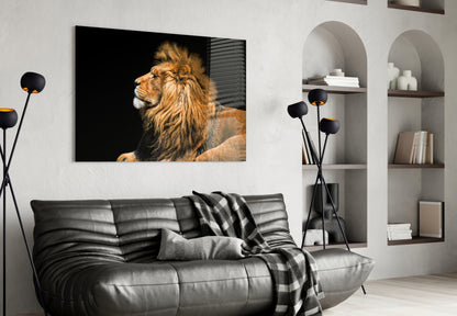 Reclining Golden Lion Profile Glass Wall Art