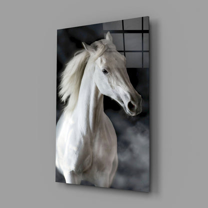 Flowing Mane White Stallion Glass Wall Art